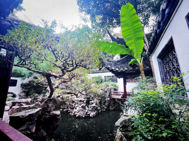 Yu Garden, Shanghai: A Classical Oasis in the City