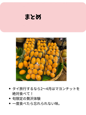 タイ】今だけ限定！マヨンチットが食べられるところ！ | Trip.com バンコク