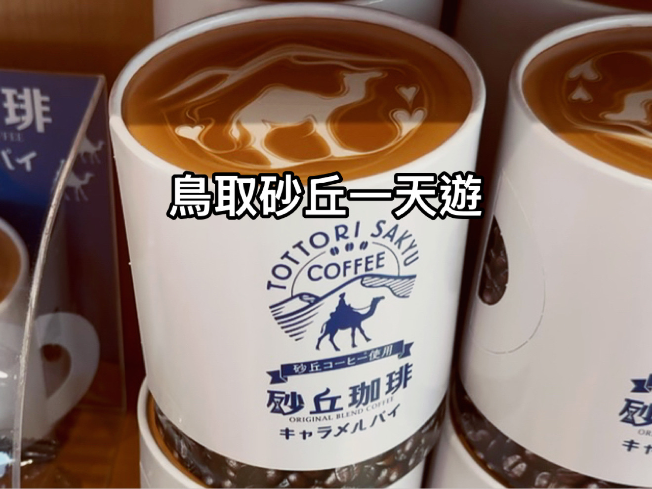 鳥取砂丘一天遊🌵  