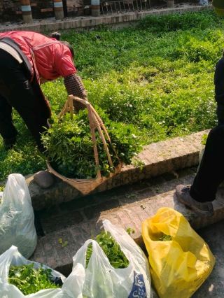 🇨🇳Private Countryside Stay 鄉村山居民宿⛰️ Guangzhou, China Travel