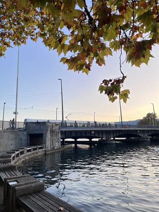 蘇黎世一個下午：終極步行路線 