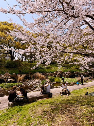大阪の魅力 。 | Trip.com 大阪
