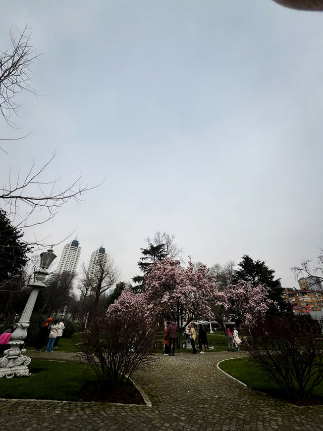 🌸🇹🇷ISTANBUL’S MAGNOLIA SECRET? SAVE THIS PLACE FOR SPRING