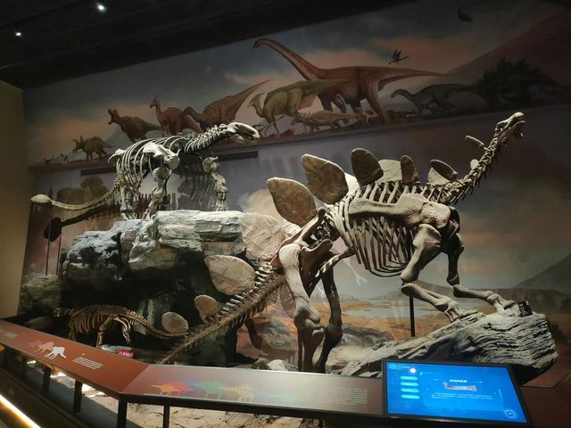 🦕 Baoding Natural History Museum | Bigger, Better, and Worth the Journey