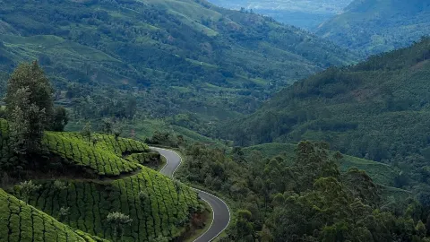 🍃 Munnar — Lost Among the Green Hills of Kerala 🇮🇳✨ — traveler post in Munnar