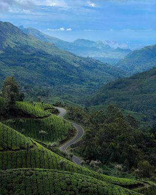 🍃 Munnar — Lost Among the Green Hills of Kerala 🇮🇳✨