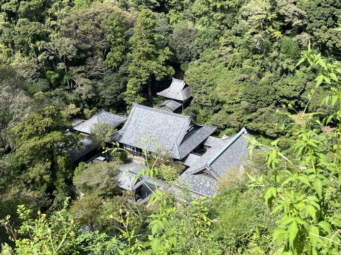 極上松山在銘根付　16g 東Y8-0827☆2Fタエサカ 🍂 Japan's Hidden Autumn Gem? 太平洋を望む高草山ハイキング