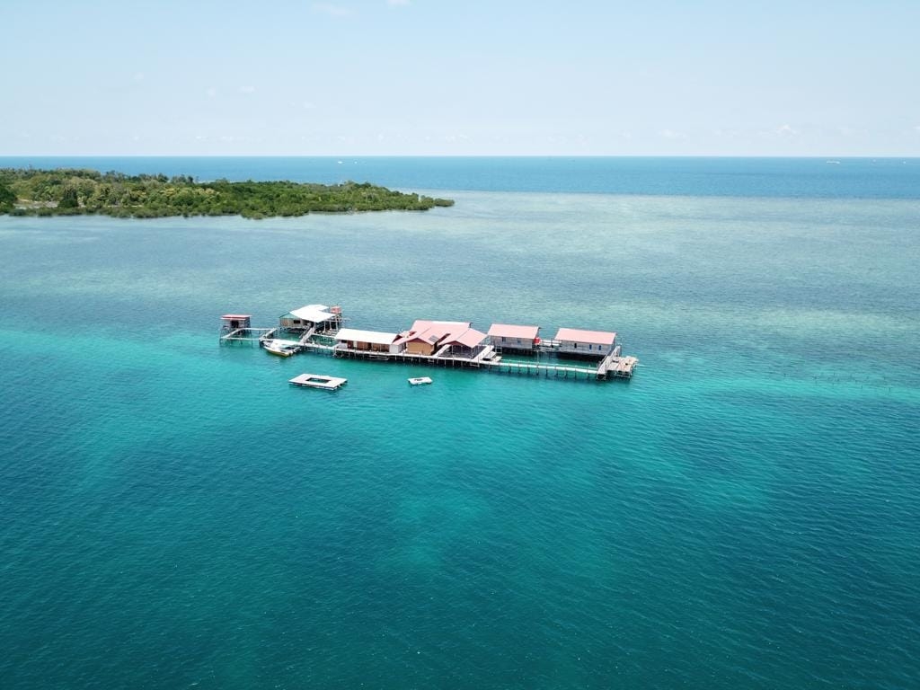 Are You Ready to Trade Traffic Jams for Nature's Wonders? It's Time to Discover Bintan!