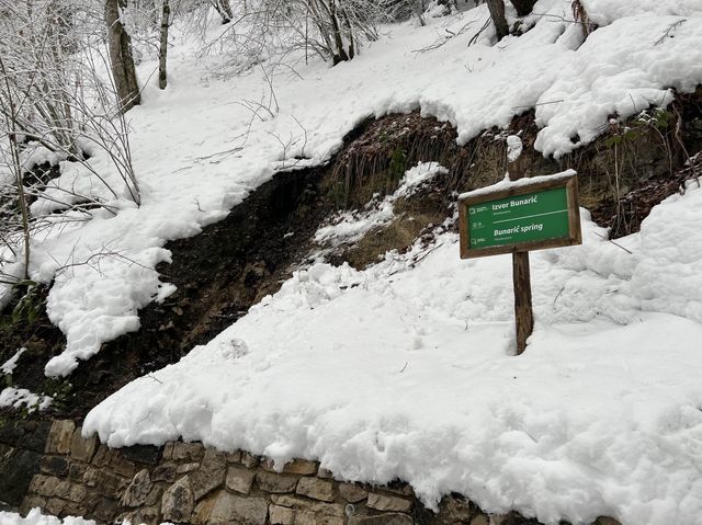 【雪化粧】プリトヴィツェ湖群国立公園