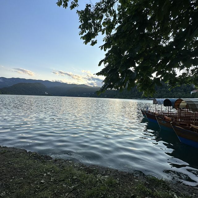 Zen time in Lake Bled