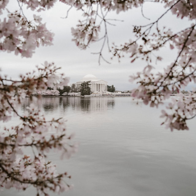 Cold & calm spring day in Washington DC