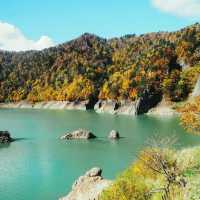 search for a good onsen