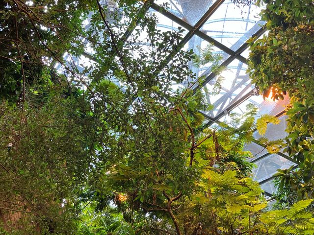 カナダ モントリオールのアクティビティbio dome