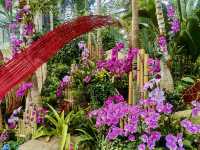 花影醉心：漫步上海植物園的悠然時光