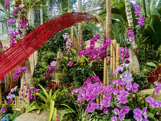 花影醉心：漫步上海植物園的悠然時光