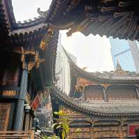 "Chongqing Adventures: Temples, Caves, and Timeless Streets!"