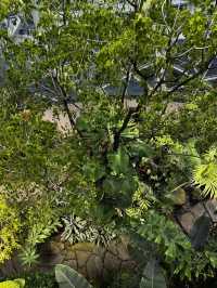 2025西雅圖亞馬遜必去景點：The Spheres