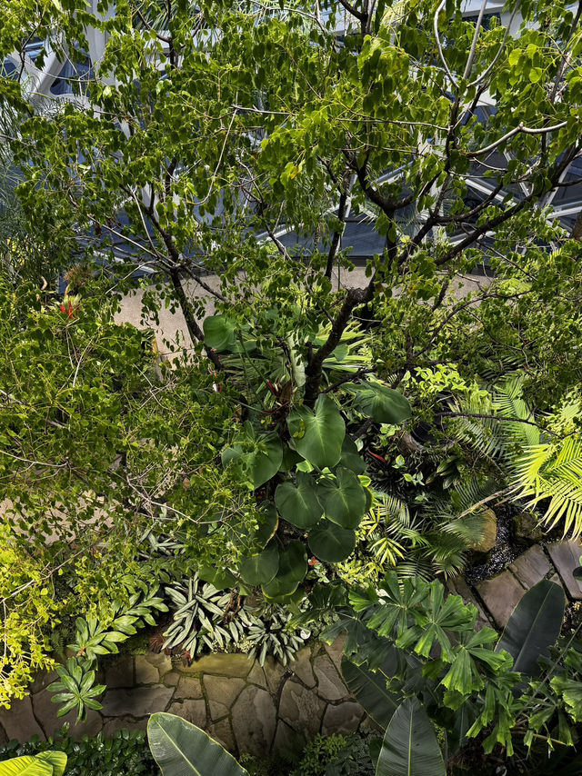 2025西雅圖亞馬遜必去景點：The Spheres