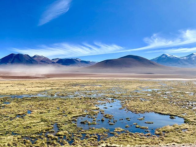 Stargazing in Atacama's Desert Sky