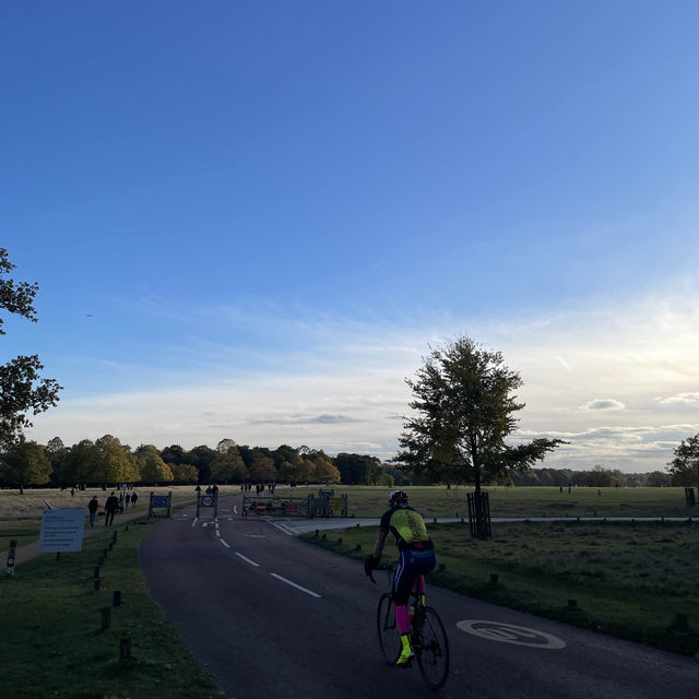 Beautiful park in London, Richmond Park🇬🇧