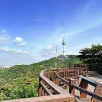《首爾南山公園》🌸隨便一條登山步道都是賞櫻的絕佳地點🌸
