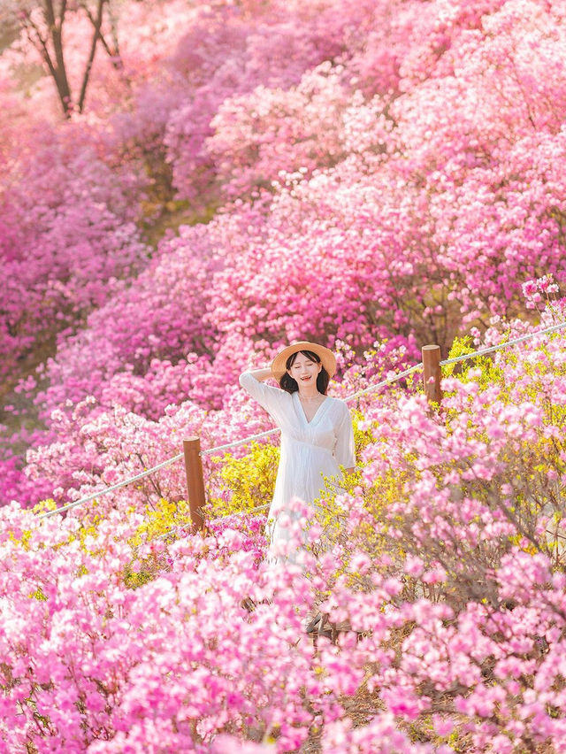 원미산 진달래동산 입구