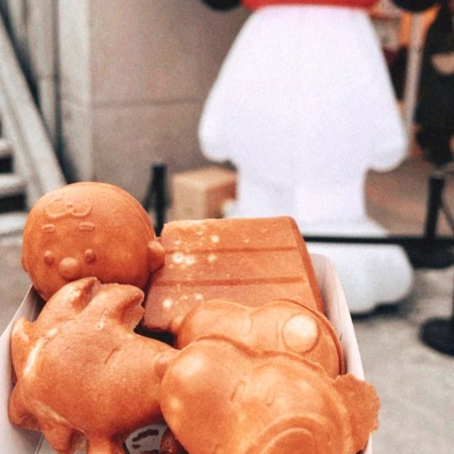 🪁華山1914文創園區🌺創意體現，生活美學的區域✨️