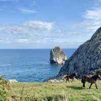 Camino de Santiago: Coastal Route 🌄🚶‍♀️