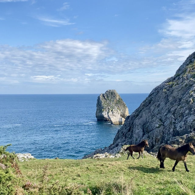Camino de Santiago: Coastal Route 🌄🚶‍♀️