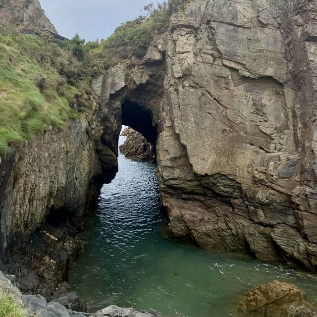 A Hiker’s Paradise 🥾🌲