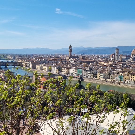 The best view of Florence