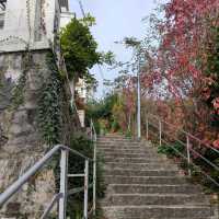 Montreux - visit during Autumn months 🍁🍂🍁