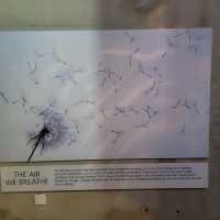 Cradle of humankind is a must vist