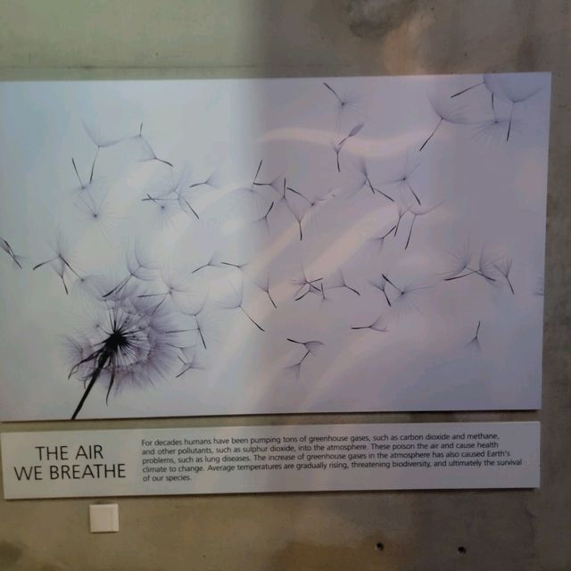 Cradle of humankind is a must vist