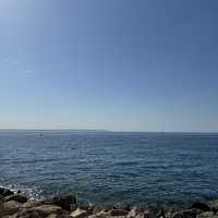 Where to stay in Palace Bonanza Playa Resort & Spa by Olivia Hotels Collection