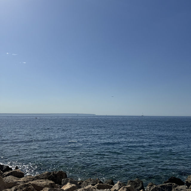 Where to stay in Palace Bonanza Playa Resort & Spa by Olivia Hotels Collection