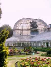 A Day in Belfast: History, Culture & Hidden Gems