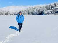 Summit Serenity: A Journey Through the German Alps