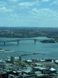 A 360 Ariel View Of Auckland, The Incredible Sky Tower 