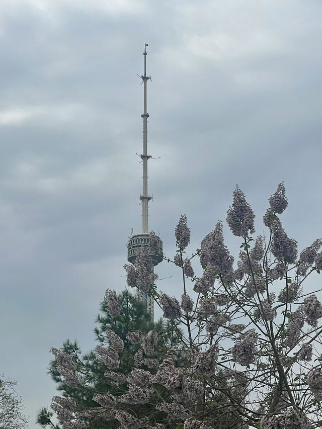 Tashkent’s Towering Tower