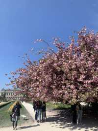 巴黎春天必須體驗百花齊放Jardin des Plantes