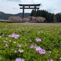 The landmark is a large torii, which is about 34 metres high.