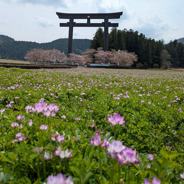 The landmark is a large torii, which is about 34 metres high.