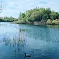 The Cotswolds: Secluded Splendour