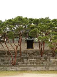 【昌徳宮】韓国ドラマの舞台！ソウルの世界遺産へ