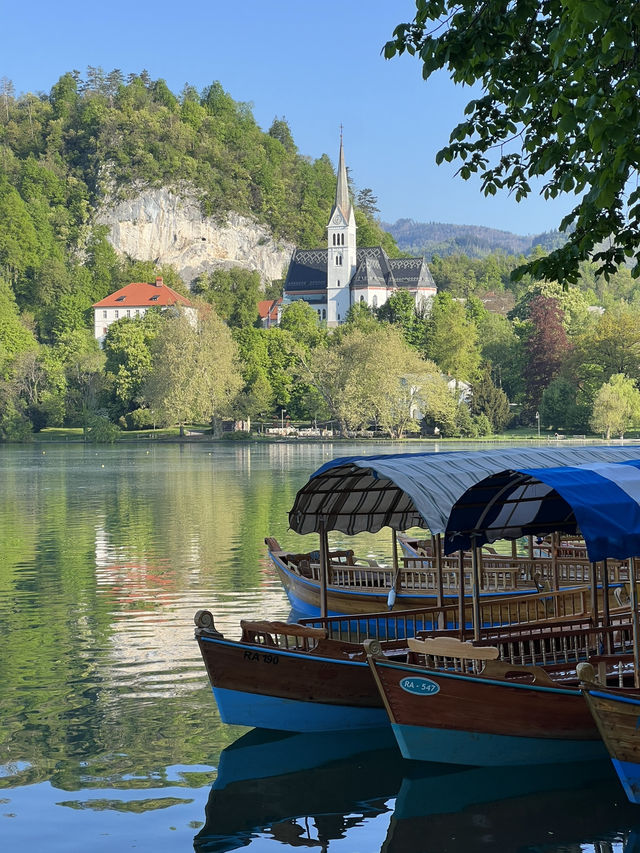 🇸🇮 斯洛維尼亞布萊德（Bled） 🚲