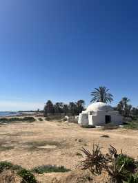 Yummy grilled fish with beach view in Djerba