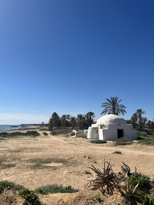 Yummy grilled fish with beach view in Djerba