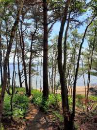Take a trip by the sea! Visit Brownsea Island 🌼