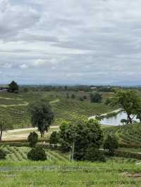 24 hours in Chiang Rai 